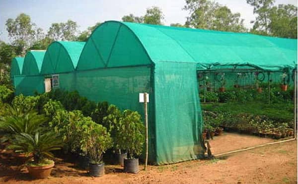 Shade nets or green garden nets for terrace gardening . - Image 3