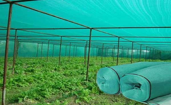 Shade nets or green garden nets for terrace gardening . - Image 5