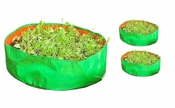 Rectangular grow bags for home gardening - Image 2