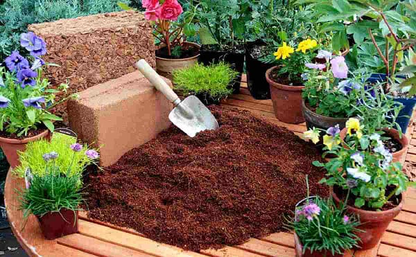 Coco peat block with high quality coconut husk for gardening - Image 3