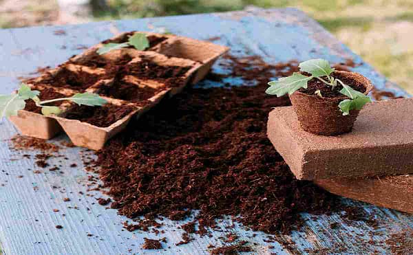 Coco peat block with high quality coconut husk for gardening - Image 4