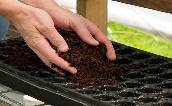 Coco peat block with high quality coconut husk for gardening - Image 5