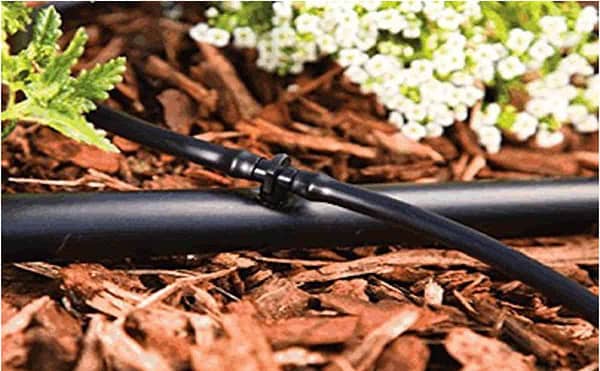 Drip Irrigation Pipe 16mm Inline Drip lateral Pipe for Plant Gardening Agricultural Irrigation Purpose - Image 5