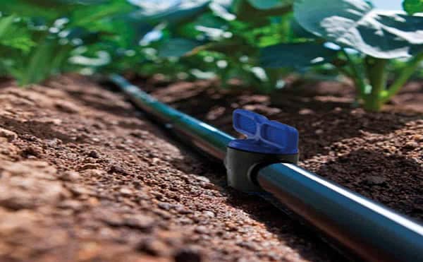 Garden irrigation system straight connector with tap 16mm connector for plant gardening agricultural irrigation accessories fittings - Image 4