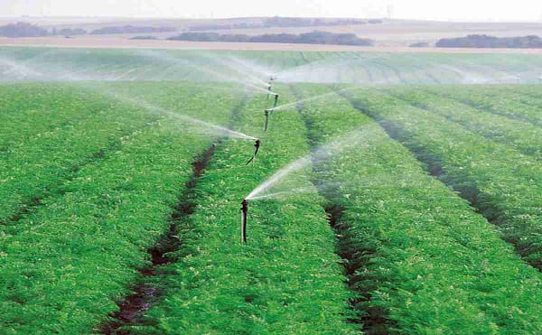 Garden sprinkler system agriculture irrigation lawn pipes poultry farm use micro irrigation fittings - Image 4