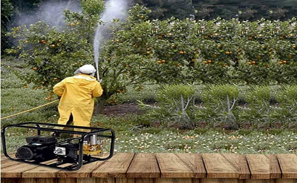 Electric HTP pump sprayer for agricultural use-Really brand - Image 4