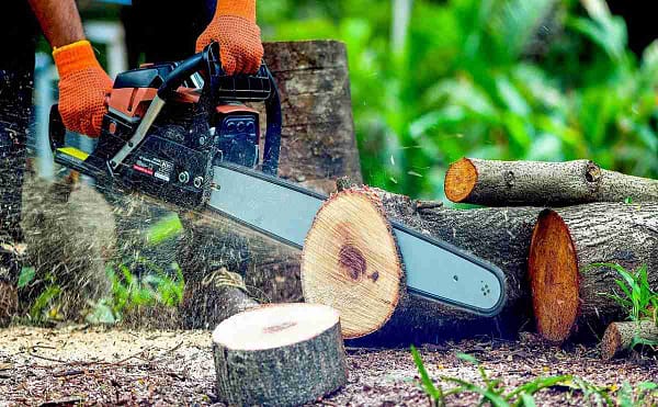 Petrol chain saw machine buy chain saw online best price 58cc 2 stroke petrol engine premium chainsaw tree cutter agricultural garden tools - Image 3