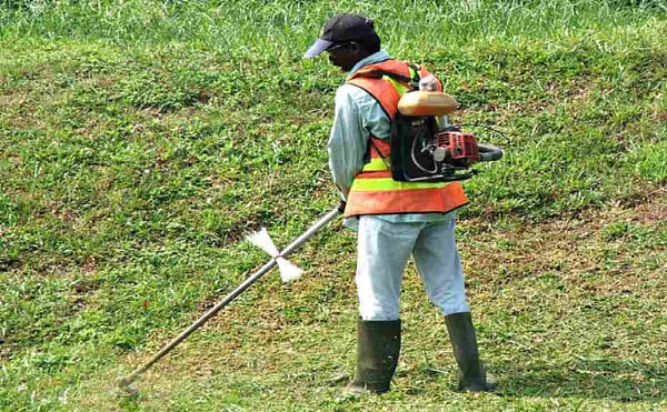 Backpack brush cutter heavy duty  two stroke 50cc for agricultural purpose - Image 3