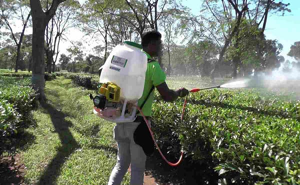 Ralli wolf power sprayer with 15 L capacity 2 stoke engine high pressure agricultural sprayer equipment - Image 3