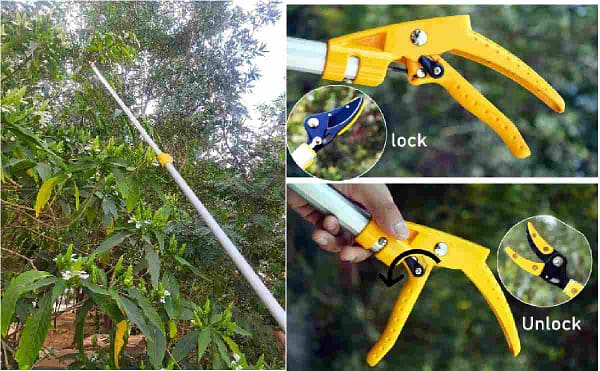 Telescopical pruner light weight aluminum telescopic long reach pruner with saw for agricultural and garden equipments - Image 3
