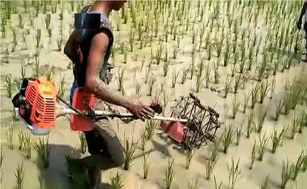 Paddy cage wheel Iron wheel for 7 & 9HP power tiller agricultural purpose - Image 3
