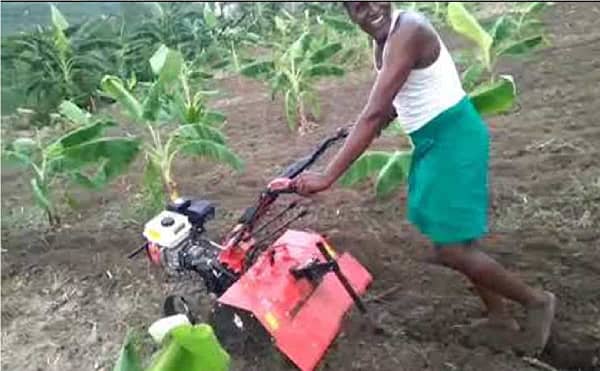 Power weeder 7hp petrol operated agriculture equipment for farming and agriculture purpose - Image 4