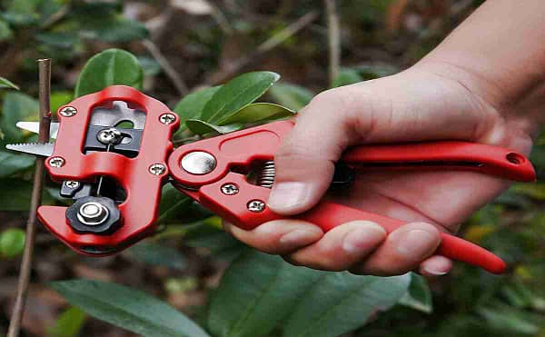 Plant grafting tools buy grafting tools online high quality steel material for agricultural implements farm tool products - Image 3