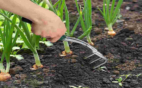 Hand cultivator tool mini hand rake hand rake hand cultivators price hand held cultivators garden cultivator - Image 3