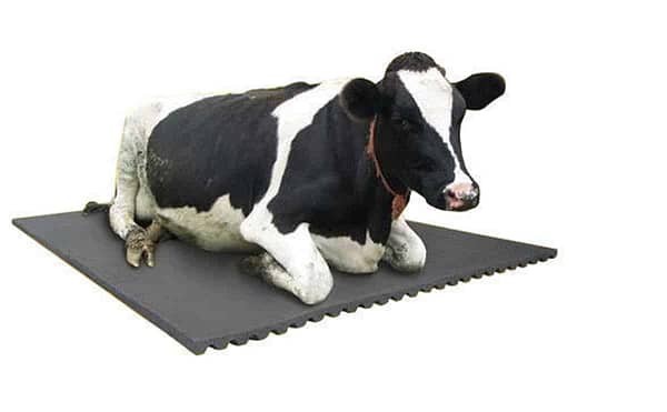 AG159 Cow mat
