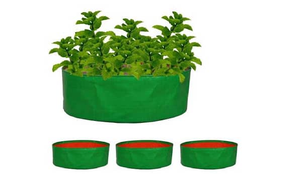 Spinach grow bags