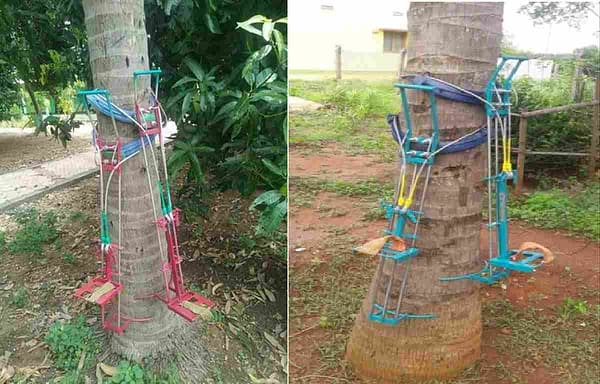 Coconut tree climbing machine