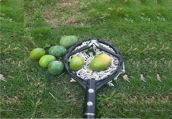 Fruit harvestor universal fruit Picker without pole replaceable sharp blade for agricultural and garden equipments - Image 4