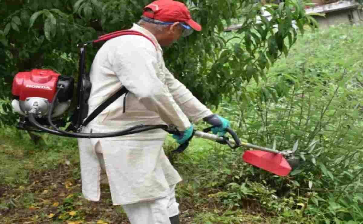 Honda brush cutter machine 4 stroke engine improved grass cutter