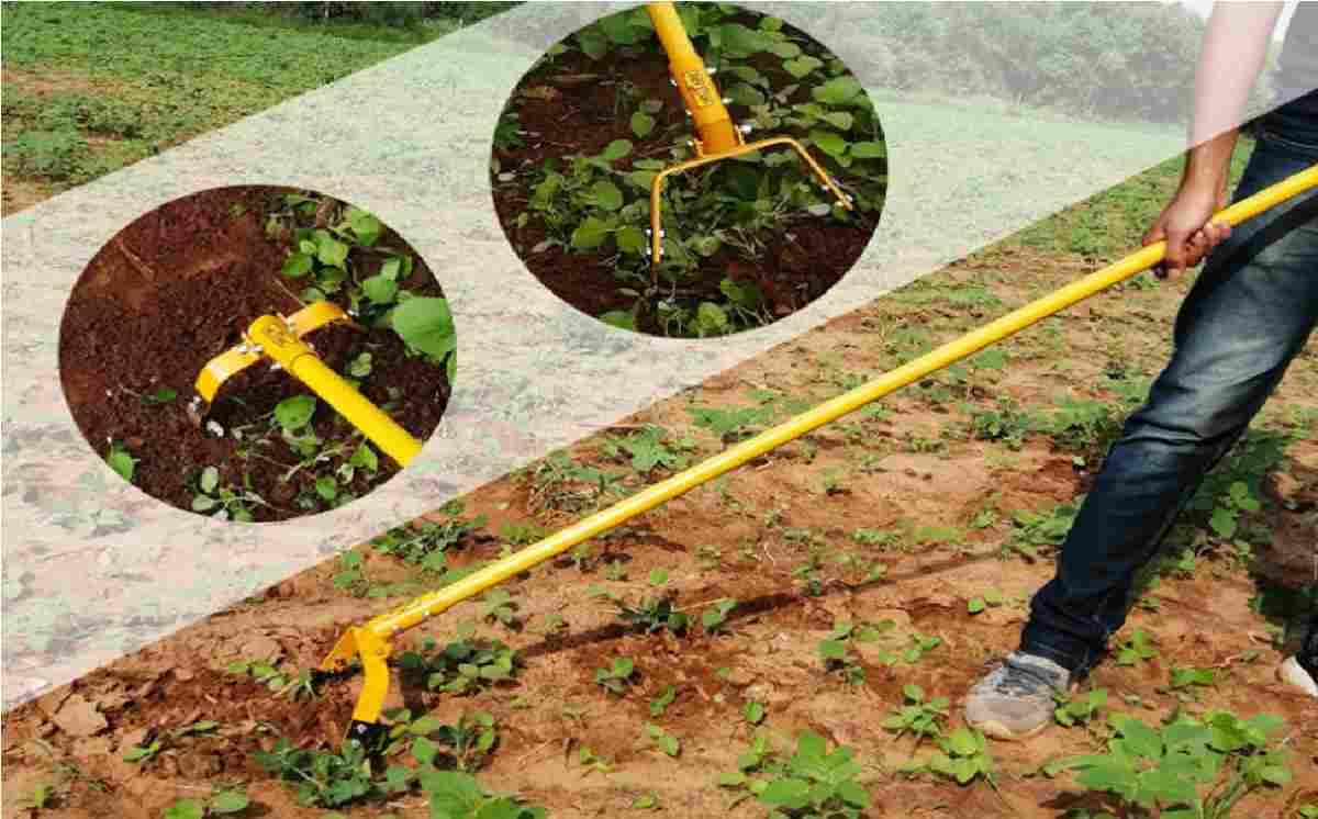 Best Hand Weeder Tool HighQuality Steel Blade Manual Weed Puller